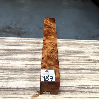Thuya Burr 1.5x1.5x12 Inches