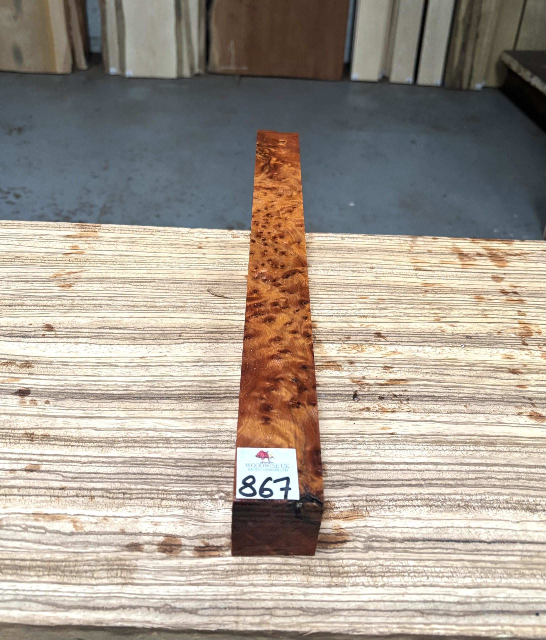 Thuya Burr 1.5x1.5x18 Inches