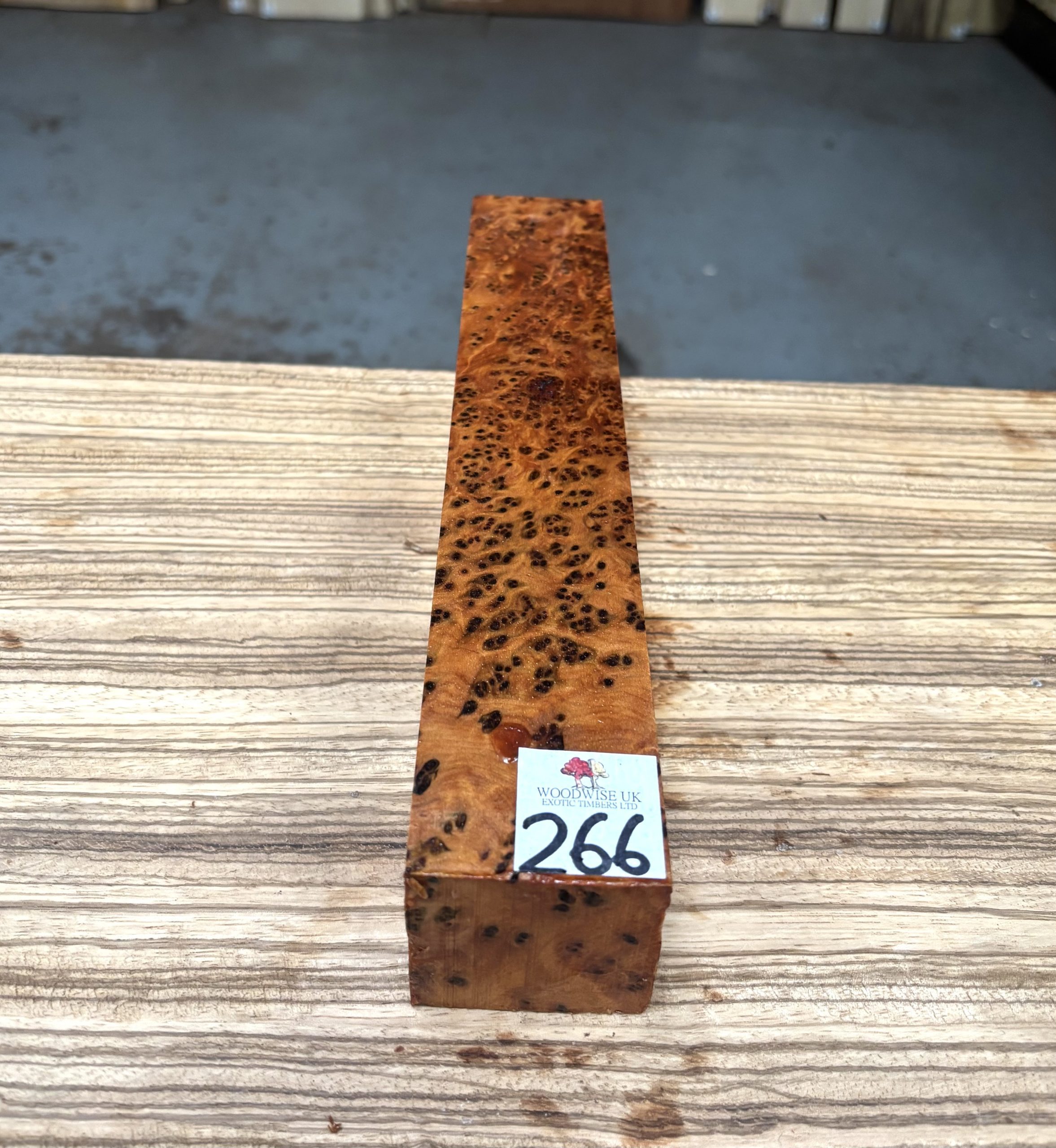 Thuya Burr 2x2x12 Inches