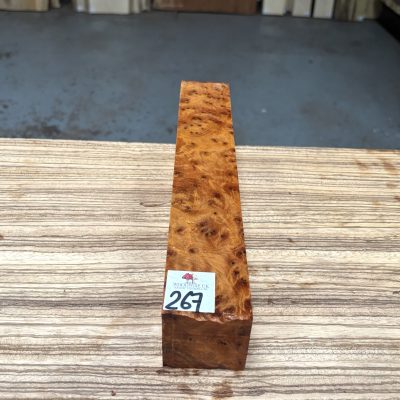 Thuya Burr 2x2x12 Inches