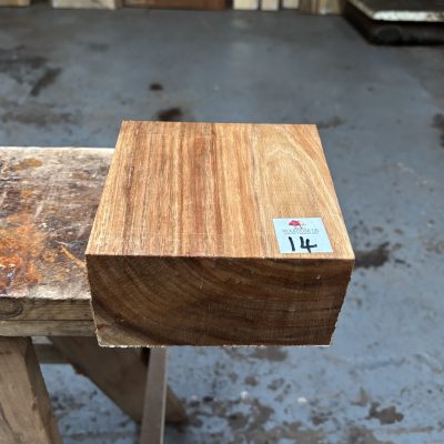 Tasmanian Blackwood 6x6x3 inches