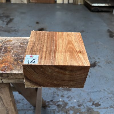 Tasmanian Blackwood 6x6x3 inches