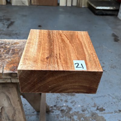 Tasmanian Blackwood 8x8x3 inches