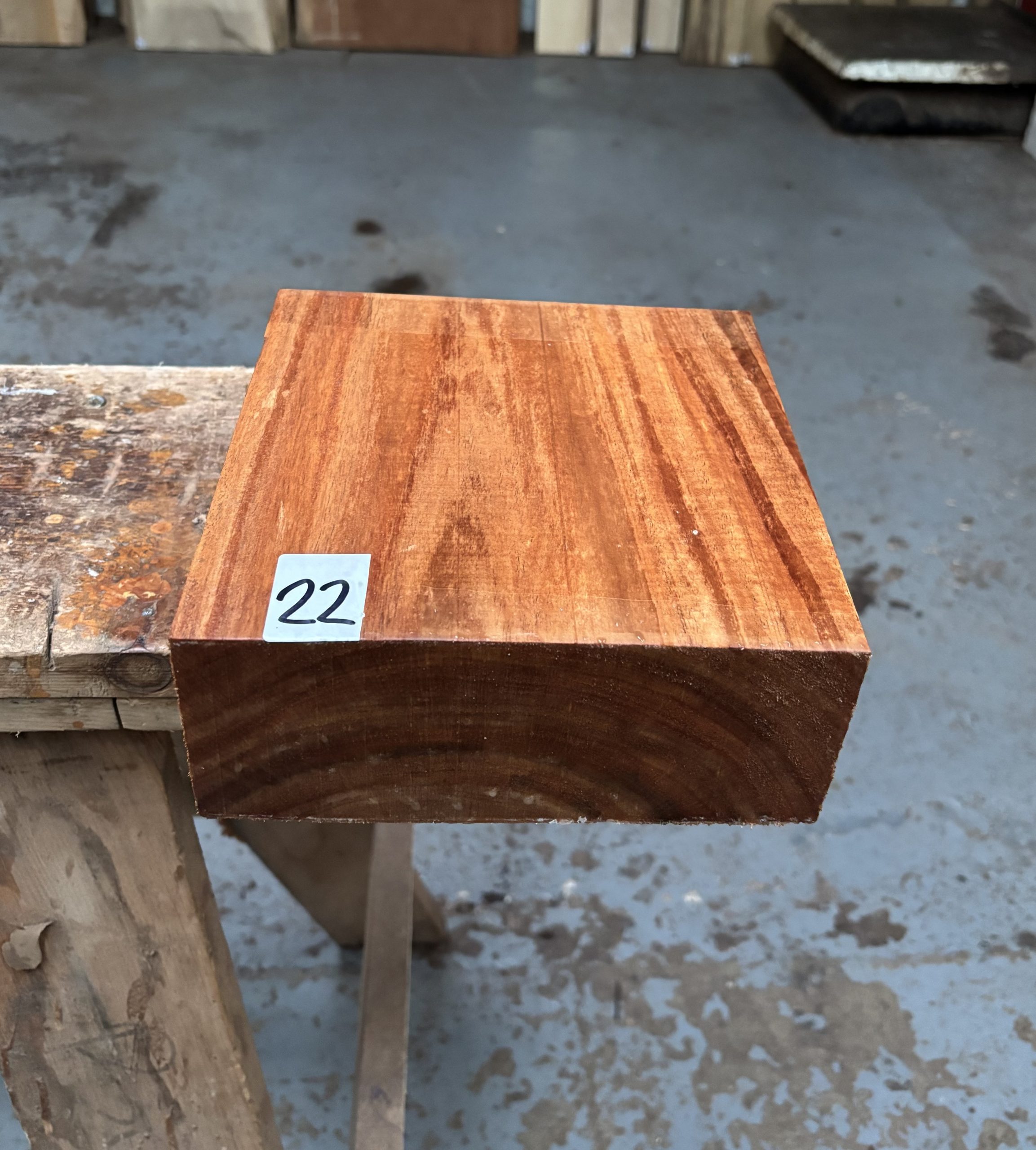 Tasmanian Blackwood 8x8x3 inches