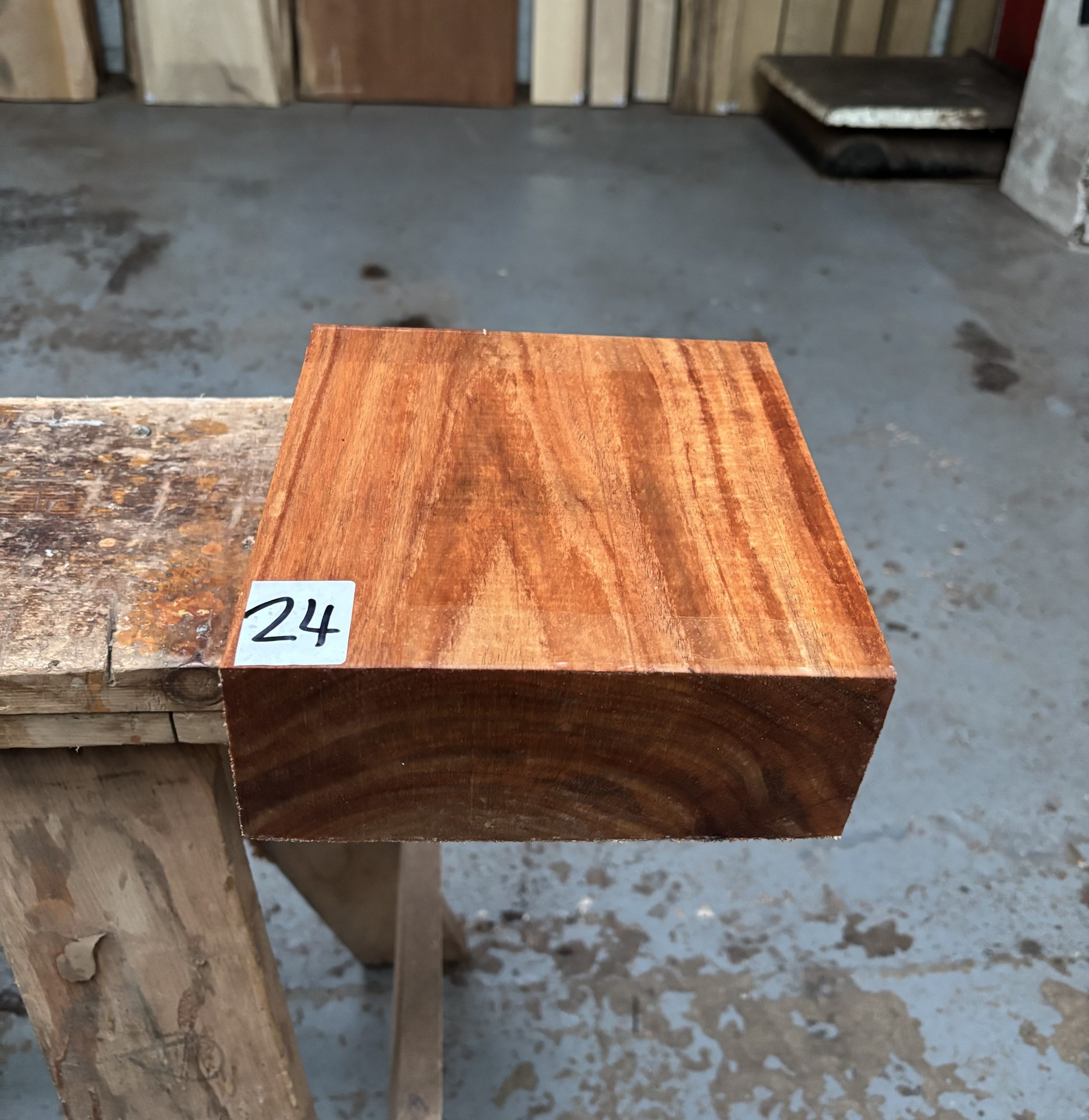 Tasmanian Blackwood 8x8x3 inches