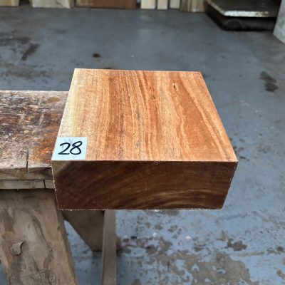 Tasmanian Blackwood 8x8x3 inches