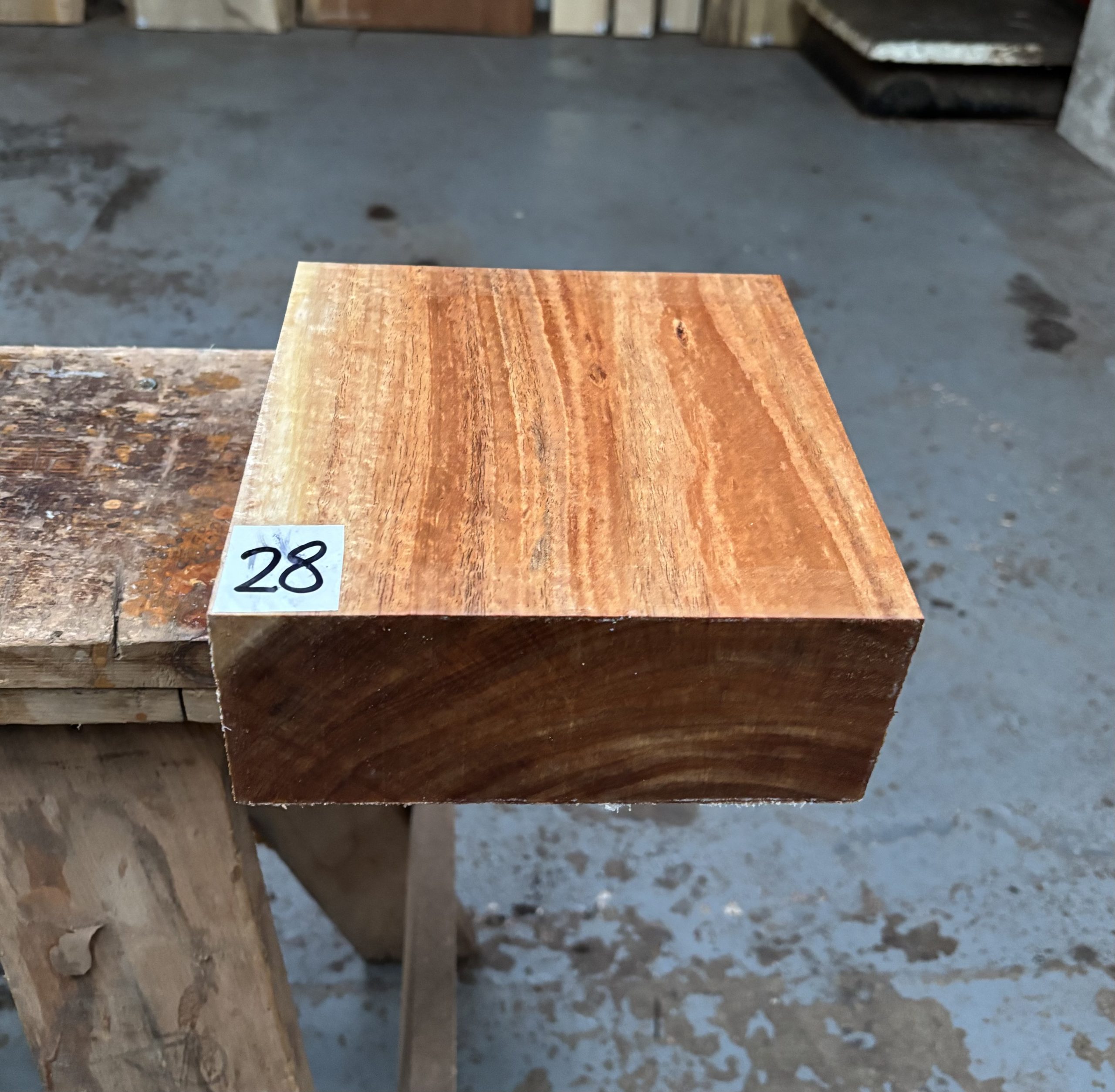 Tasmanian Blackwood 8x8x3 inches