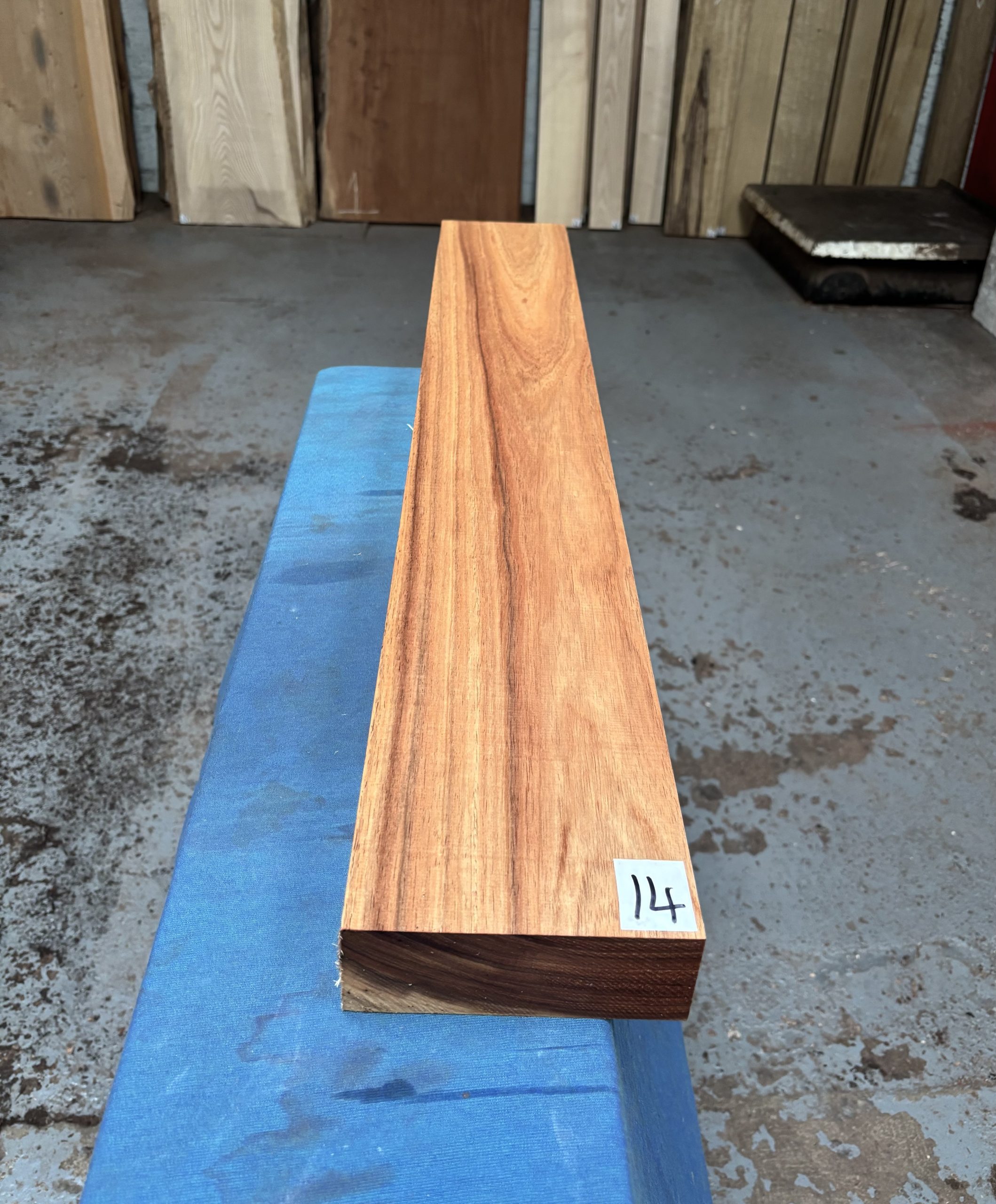 Tasmanian Blackwood 1000x148x52 mm