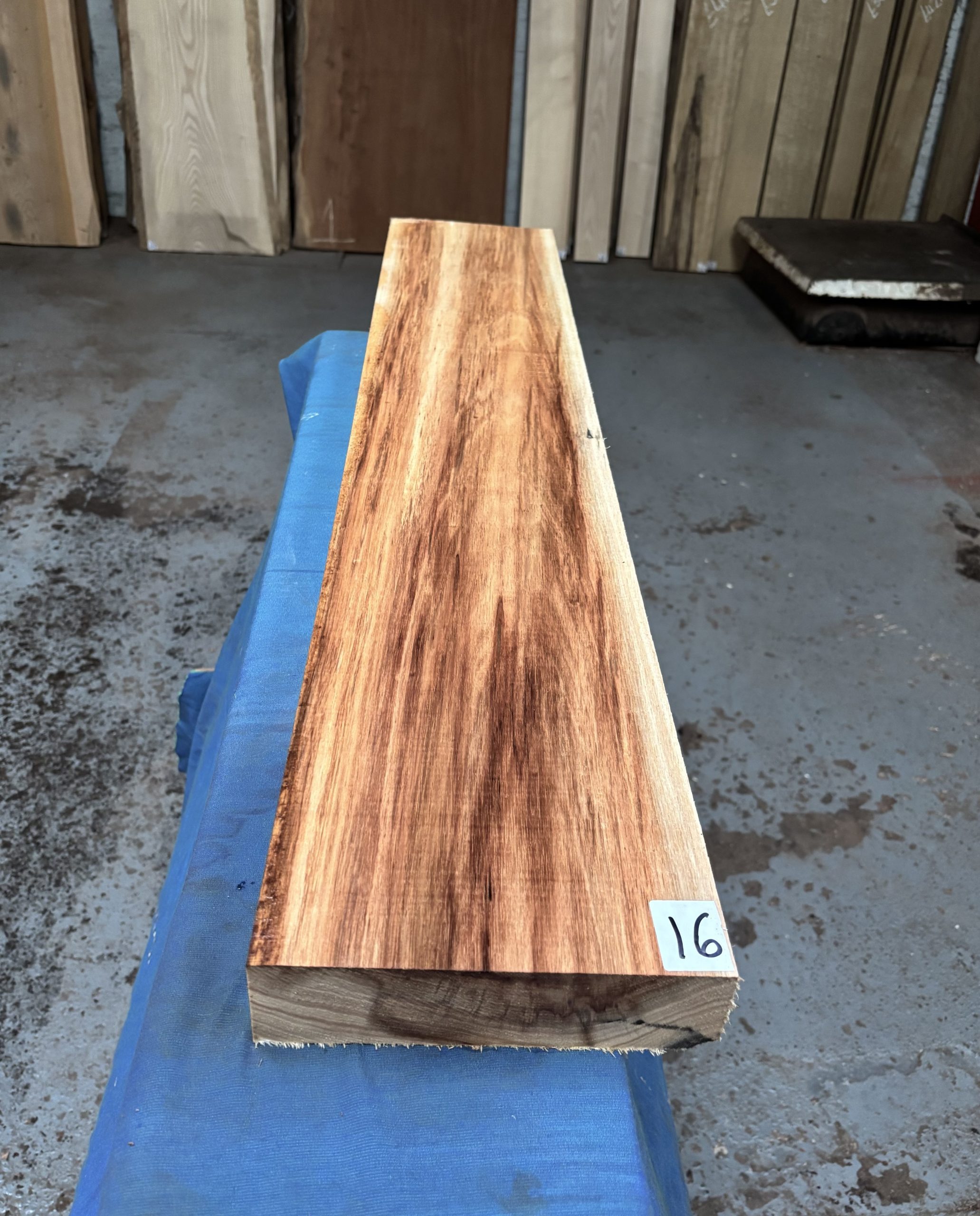 Tasmanian Blackwood 1085x195x54 mm