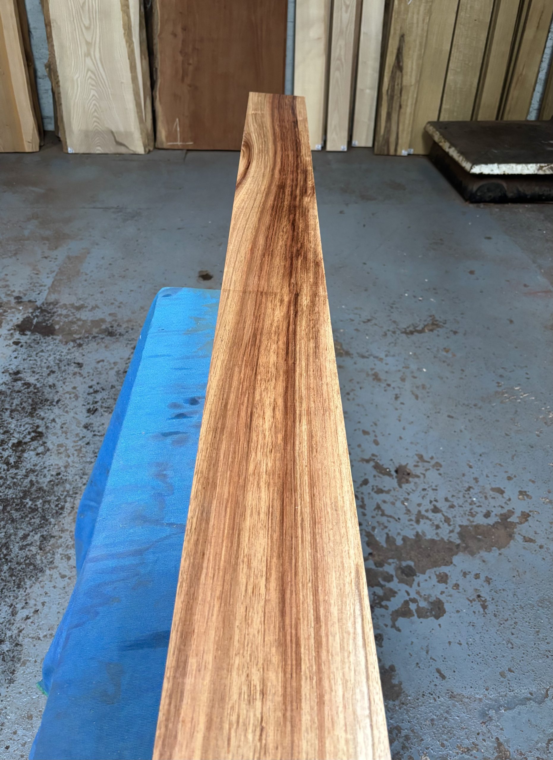 Tasmanian Blackwood 2055x145x77 mm