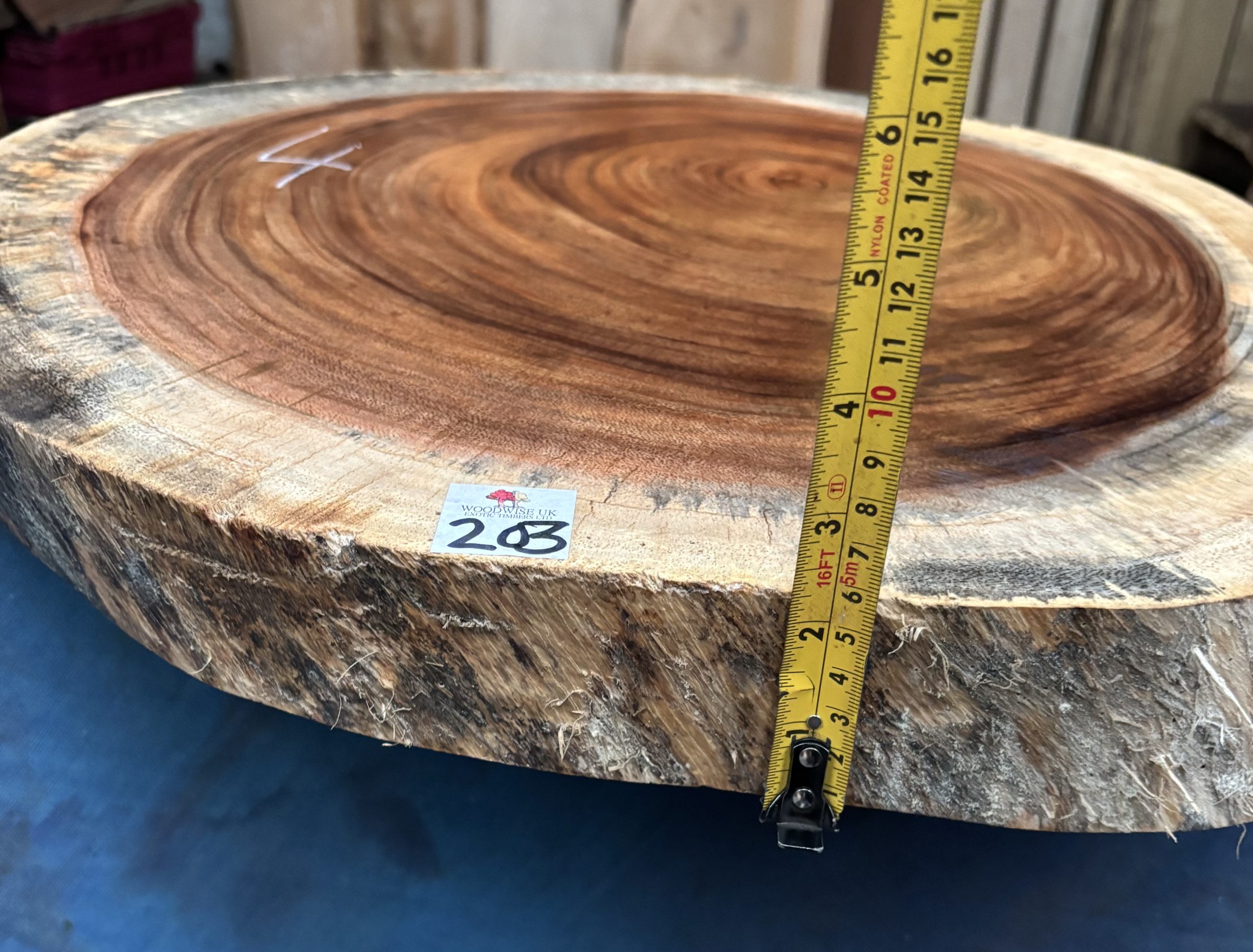 Monkeythorn Cookie Slab 510x520x55 mm