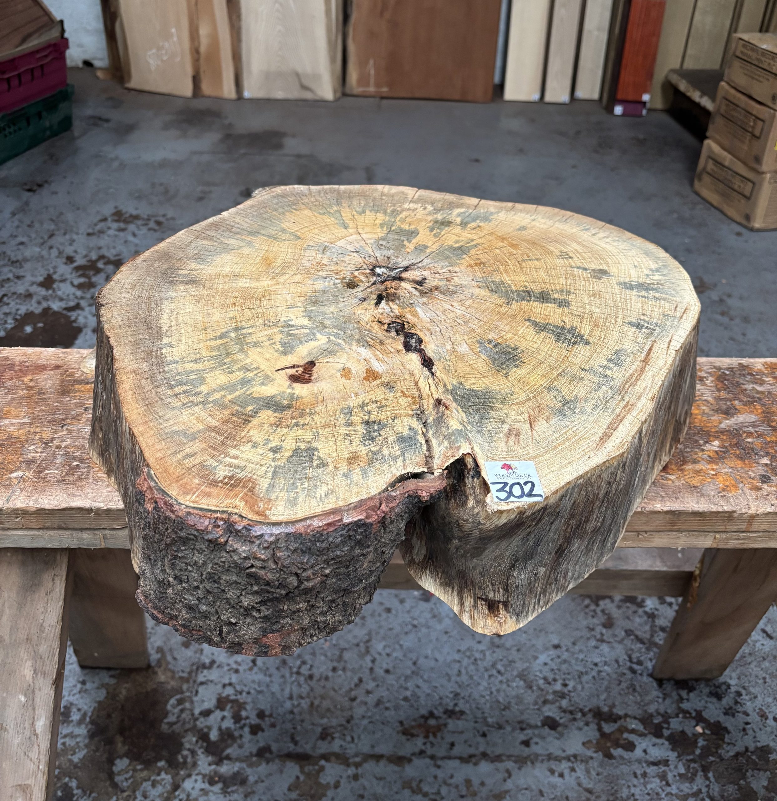 Spalted Tamarind Cookie 460x450x110 mm