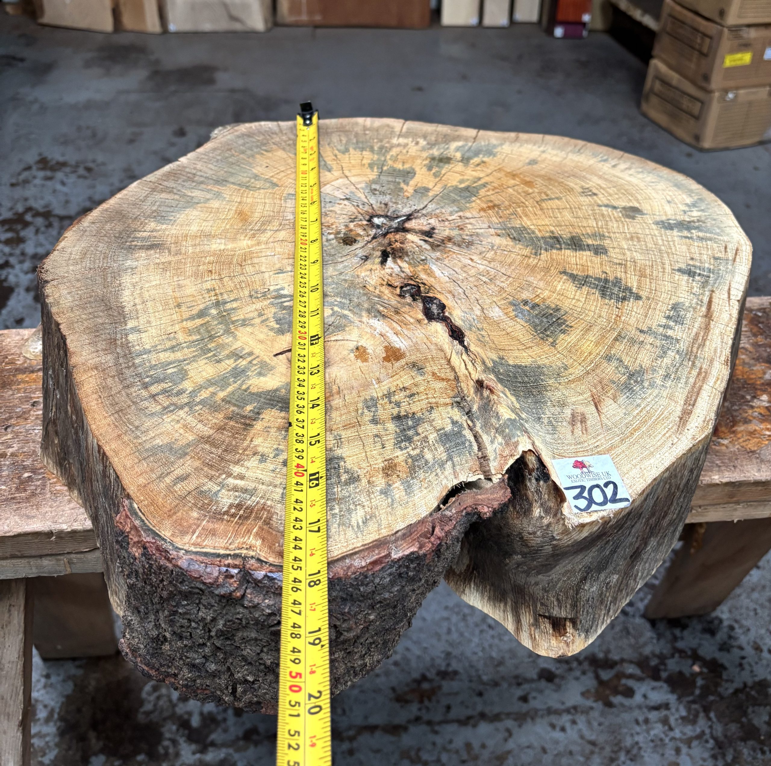 Spalted Tamarind Cookie 460x450x110 mm