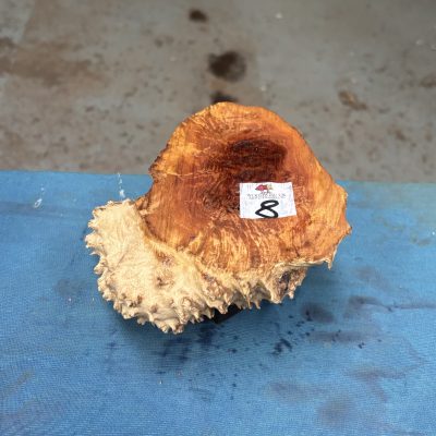 Red Mallee Burl 6.5x5x3 Inches