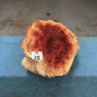 Red Mallee Burl 9.25x6.75x3.25 Inches