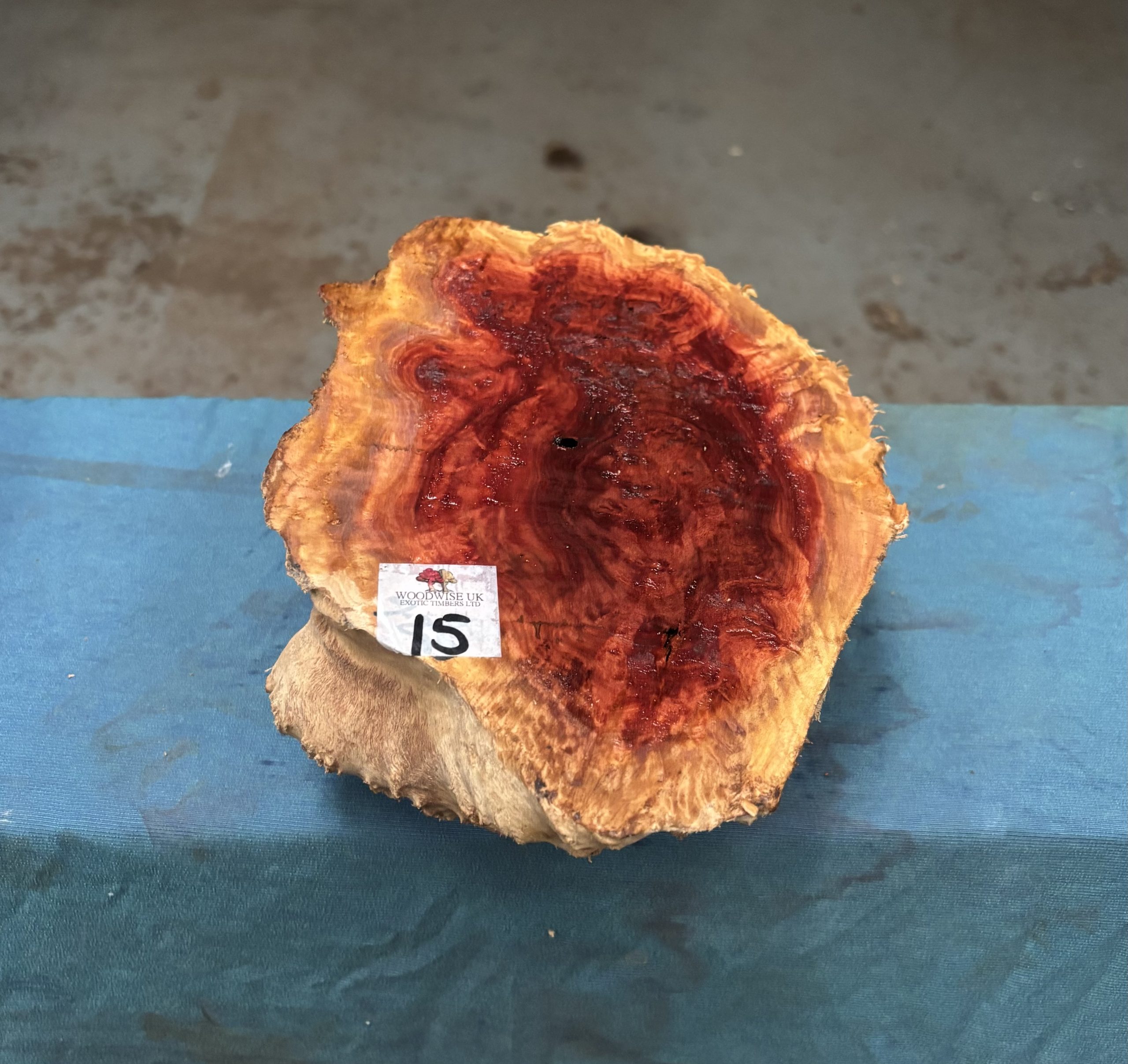 Red Mallee Burl 9.25x6.75x3.25 Inches