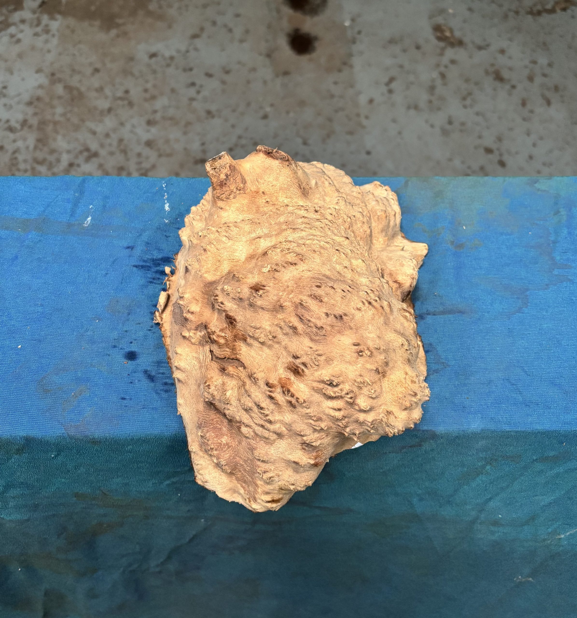 Red Mallee Burl 9.25x6.75x3.25 Inches