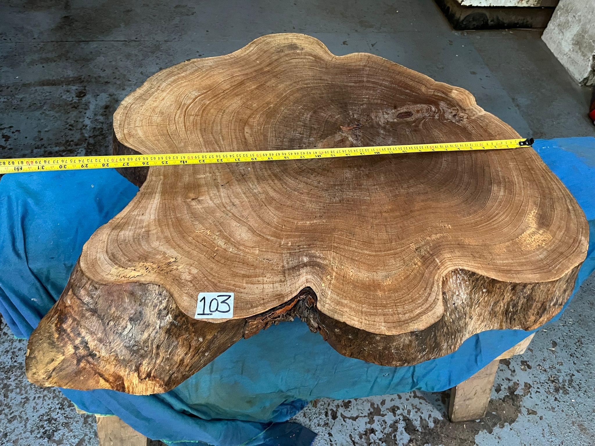 Raintree Cookie 730x640x90 mm