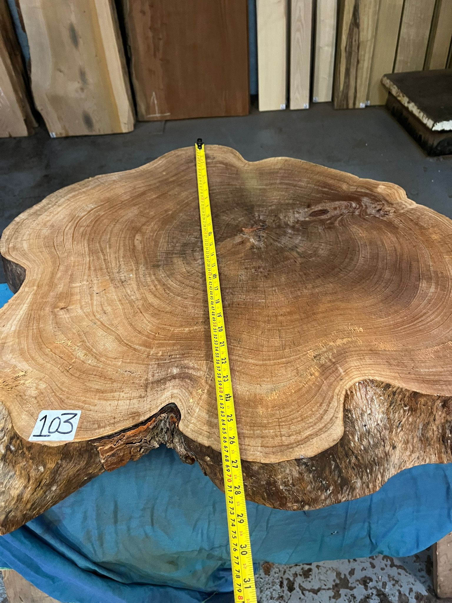 Raintree Cookie 730x640x90 mm