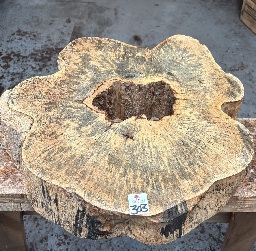 SPALTED TAMARIND COOKIE