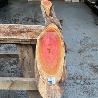 Pink Ivory 1210x120-180x25 mm