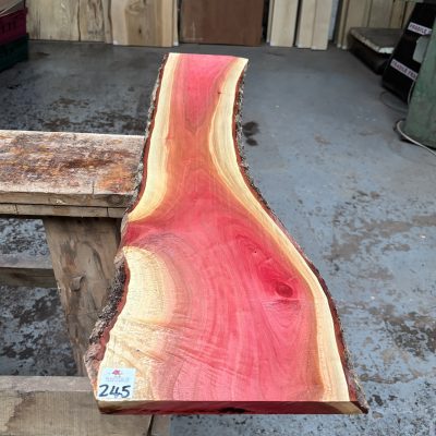 Pink Ivory 995x170-250x18 mm