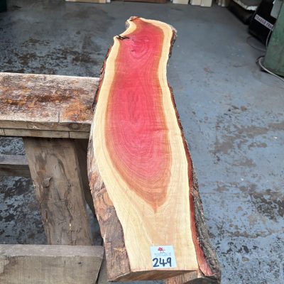 Pink Ivory 960x160-190x22 mm