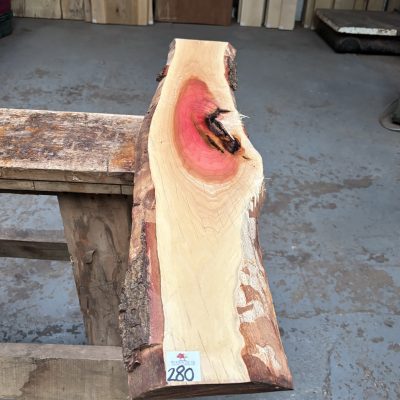 Pink Ivory 995x160-190x20 mm