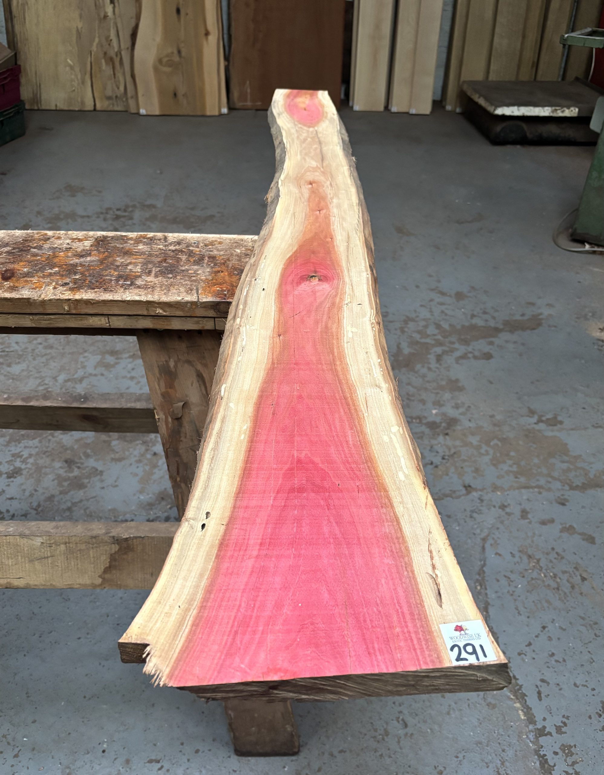 Pink Ivory 1500x140-240x23 mm