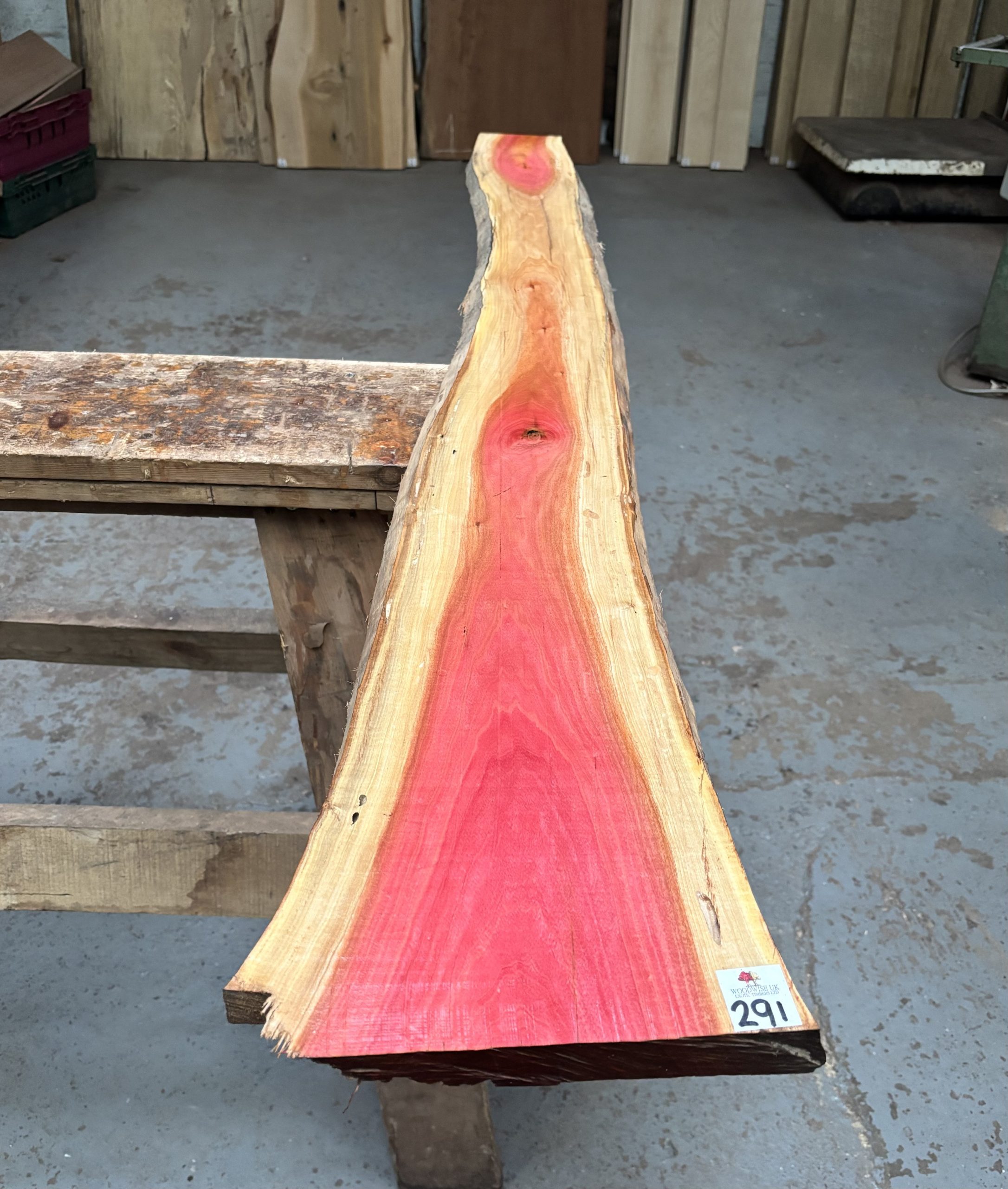 Pink Ivory 1500x140-240x23 mm