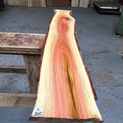 Pink Ivory 1240x180-230x22 mm