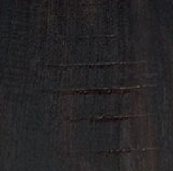 INDIAN EBONY