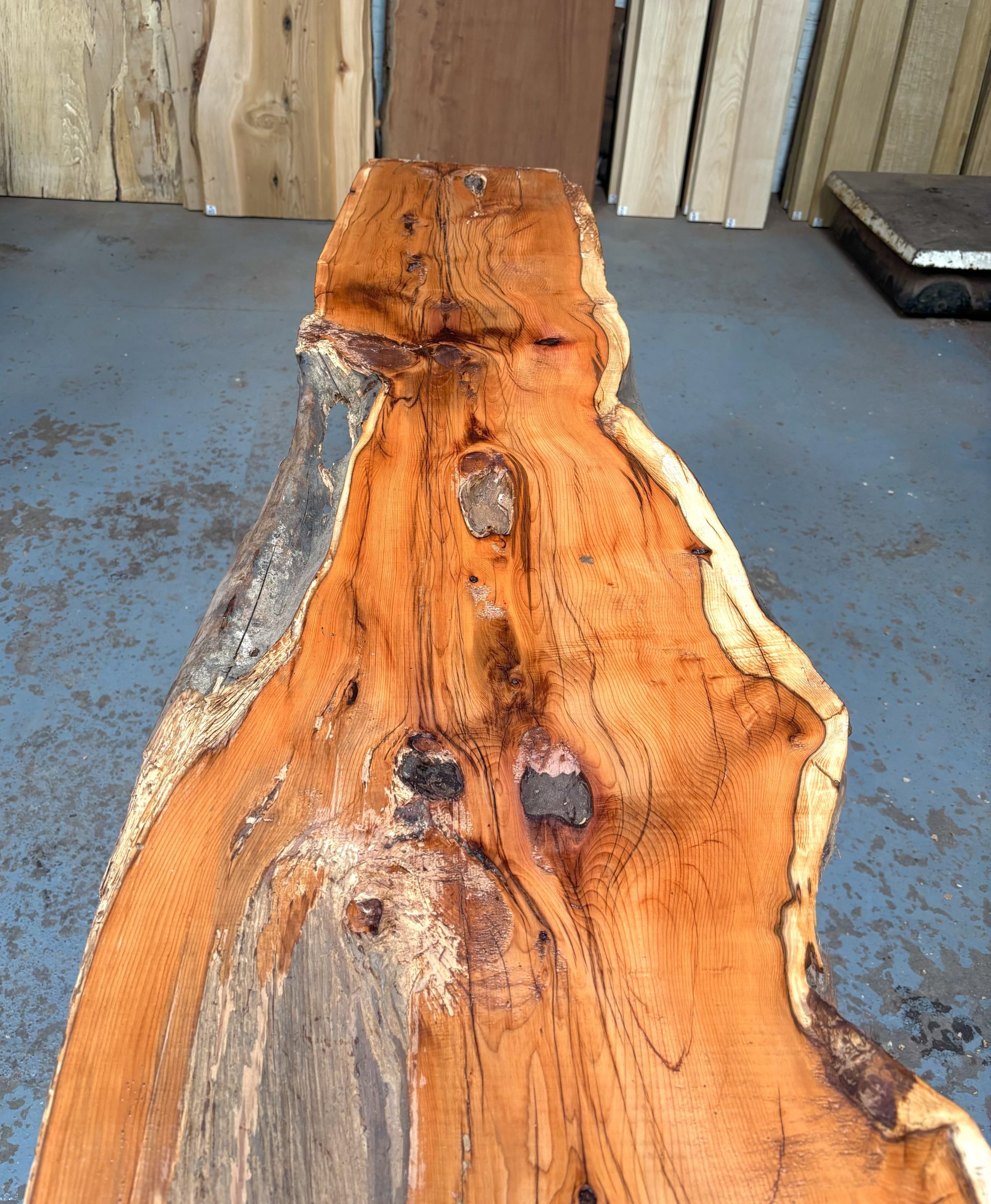 Yew 1925x340-460x40 mm