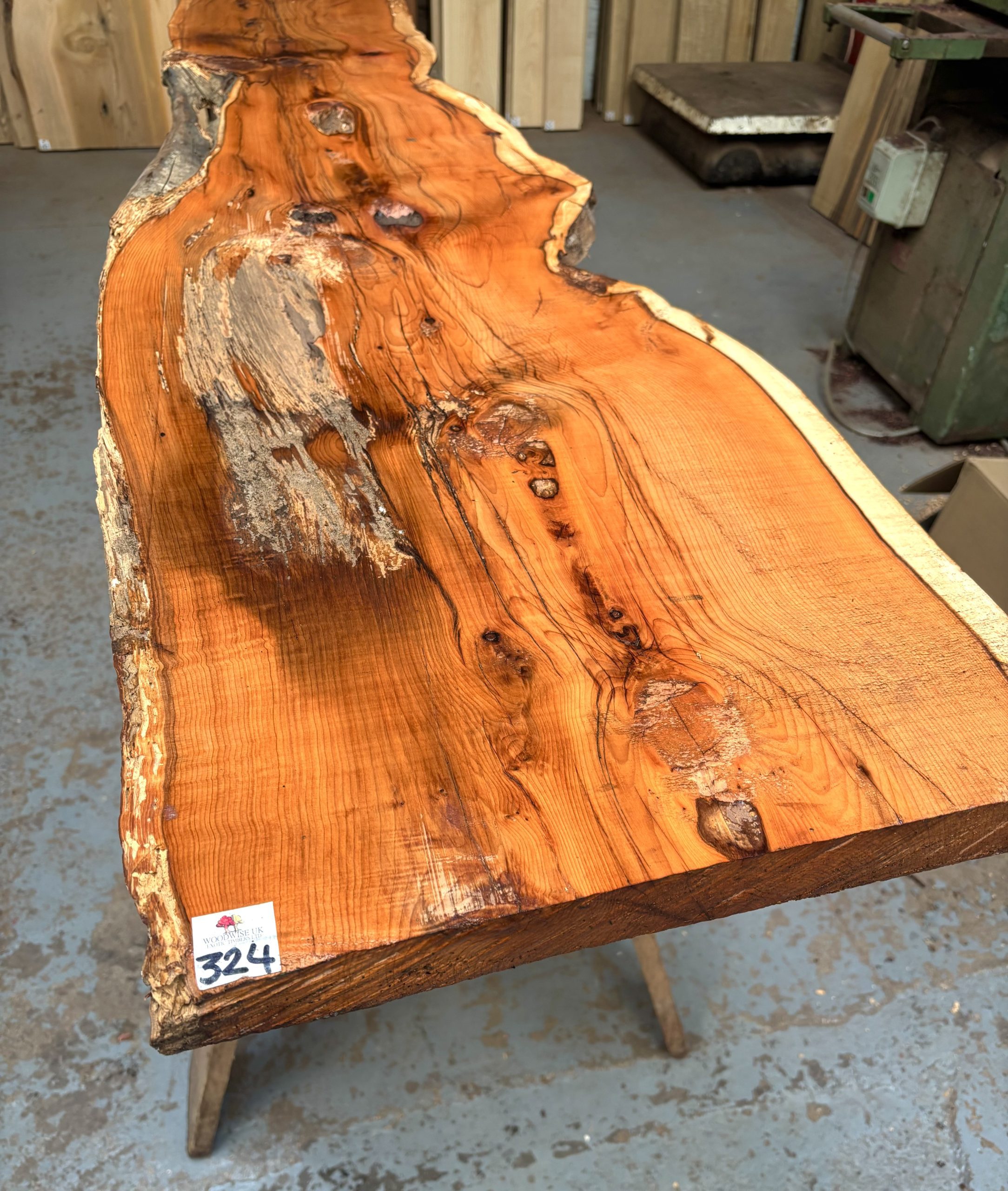 Yew 1925x340-460x40 mm