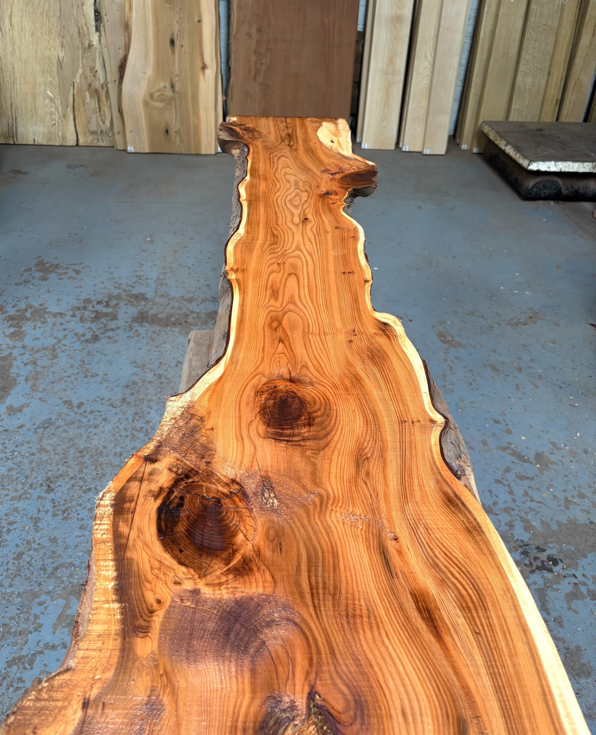 Yew 1785x220-440x43 mm