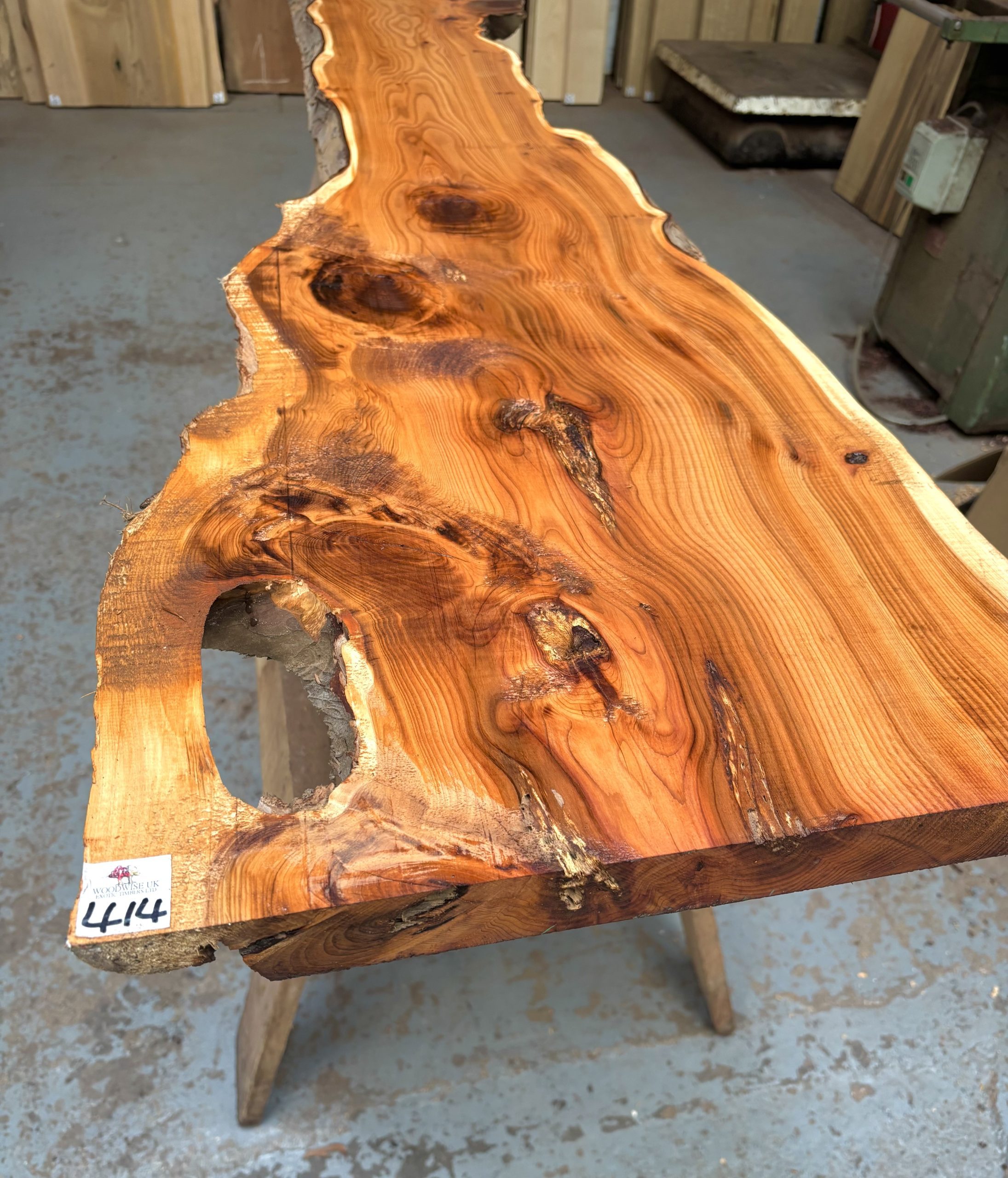 Yew 1785x220-440x43 mm