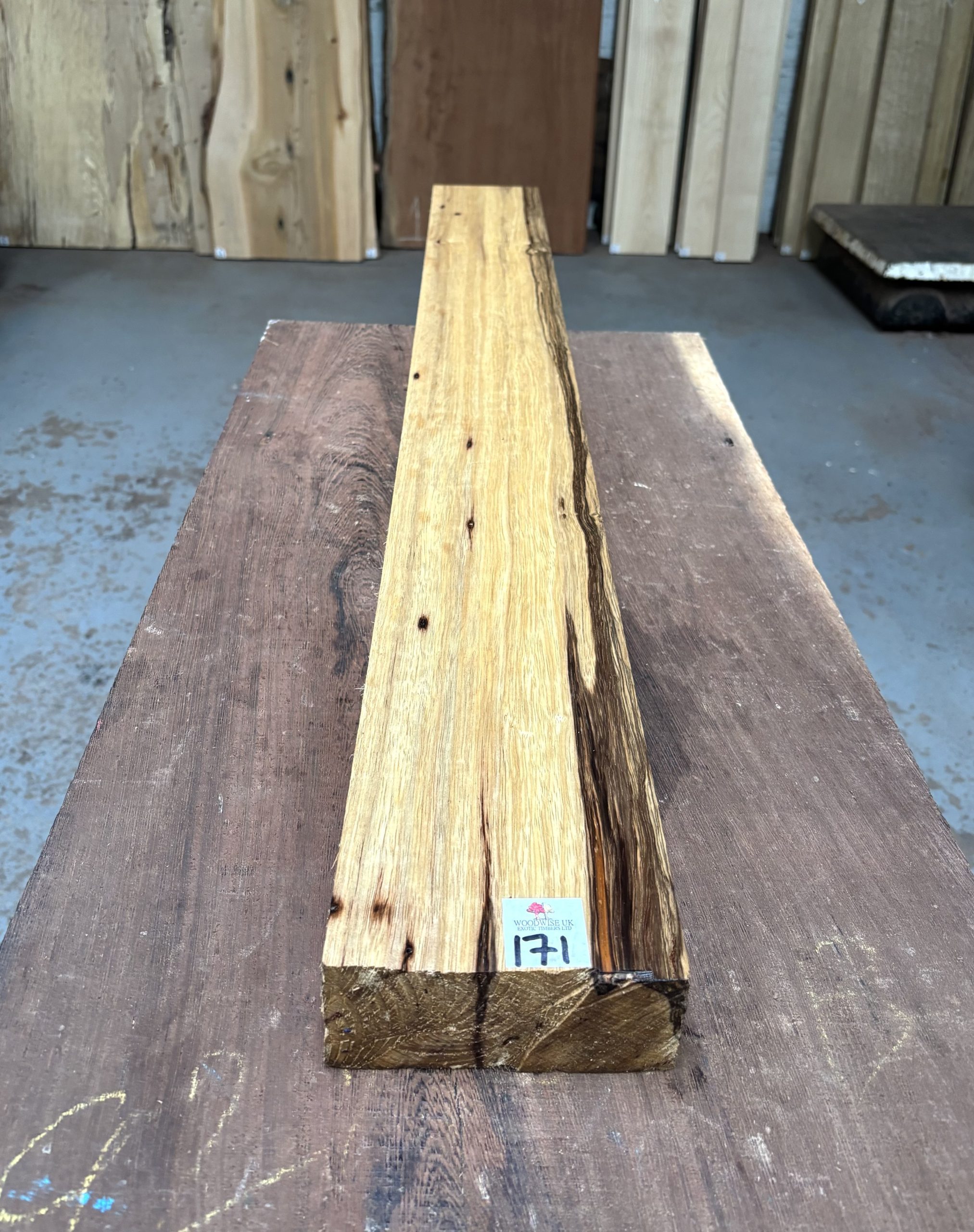 Black Limba / Korina 1125x128x52 mm