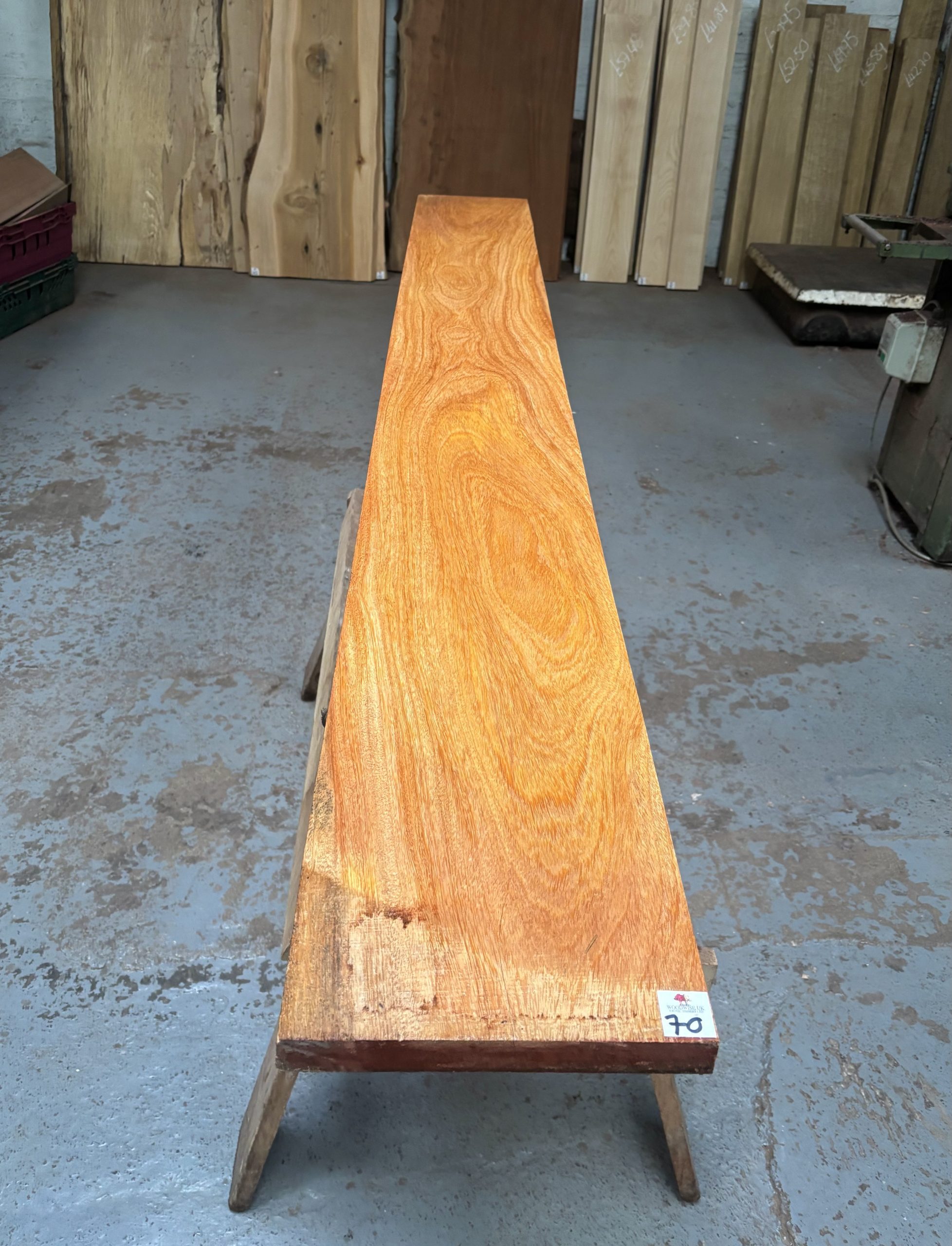 Wild Mango 2210x250x28 mm
