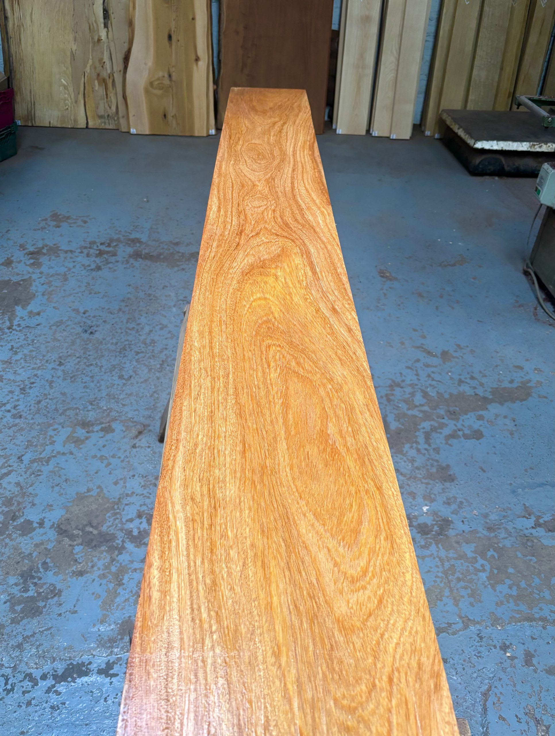 Wild Mango 2210x250x28 mm