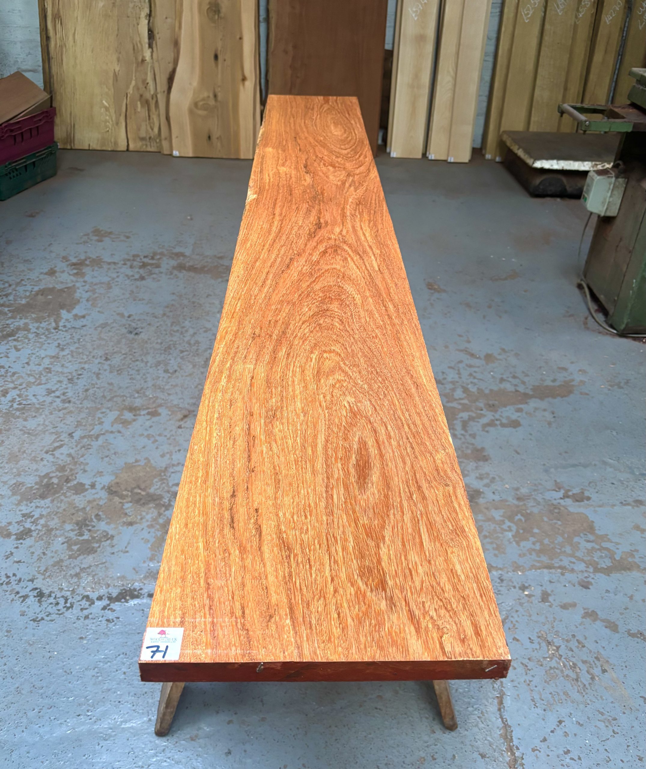 Wild Mango 2210x300x27 mm