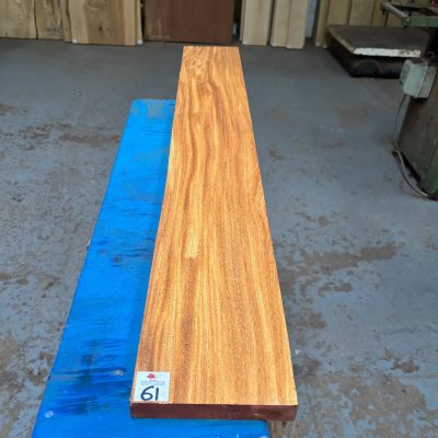 Wild Mango 1090x145x22 mm