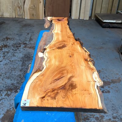 Yew 1190x260-330x24 mm