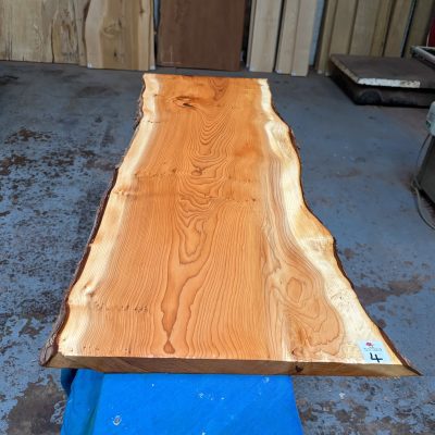 Yew 1015x340-380x25 mm
