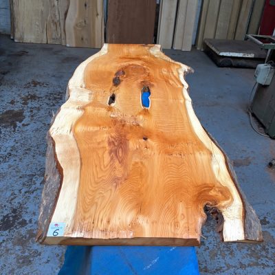 Yew 1350x400-520x26 mm