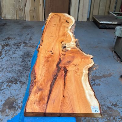 Yew 1610x300-360x27 mm