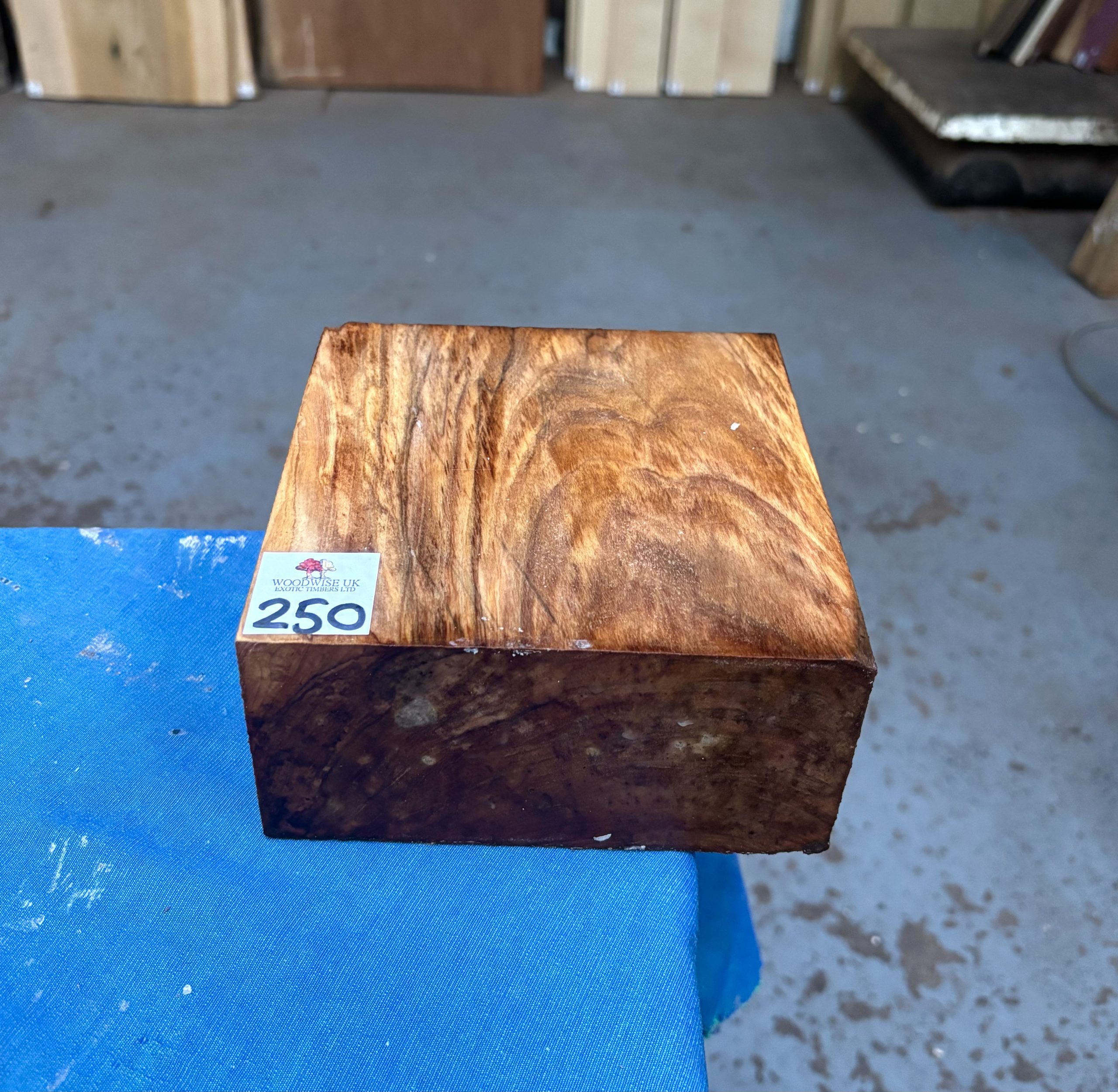 Mediterranean Olivewood 6x6x3 inches