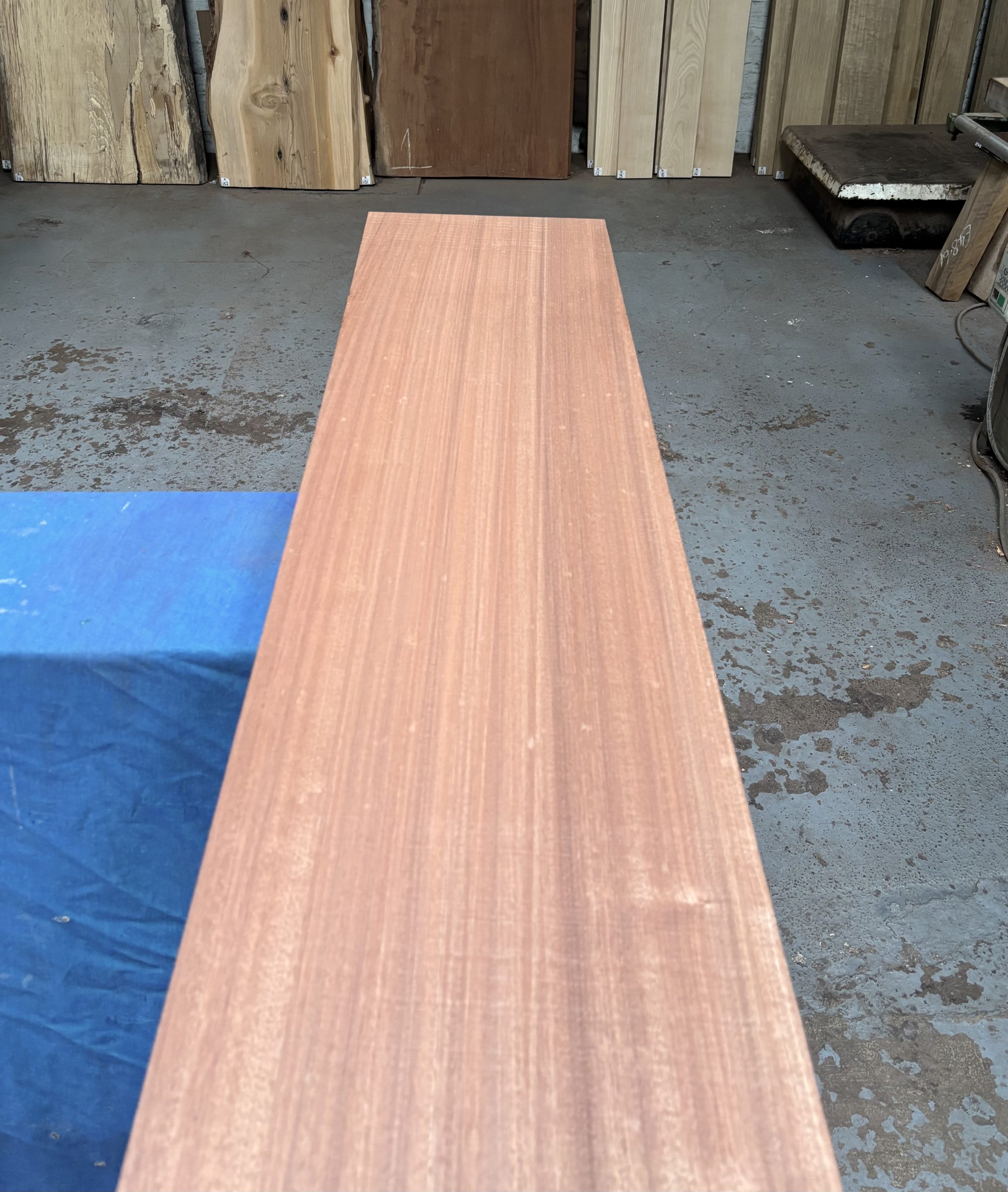 Sapele 1225x290x48 mm