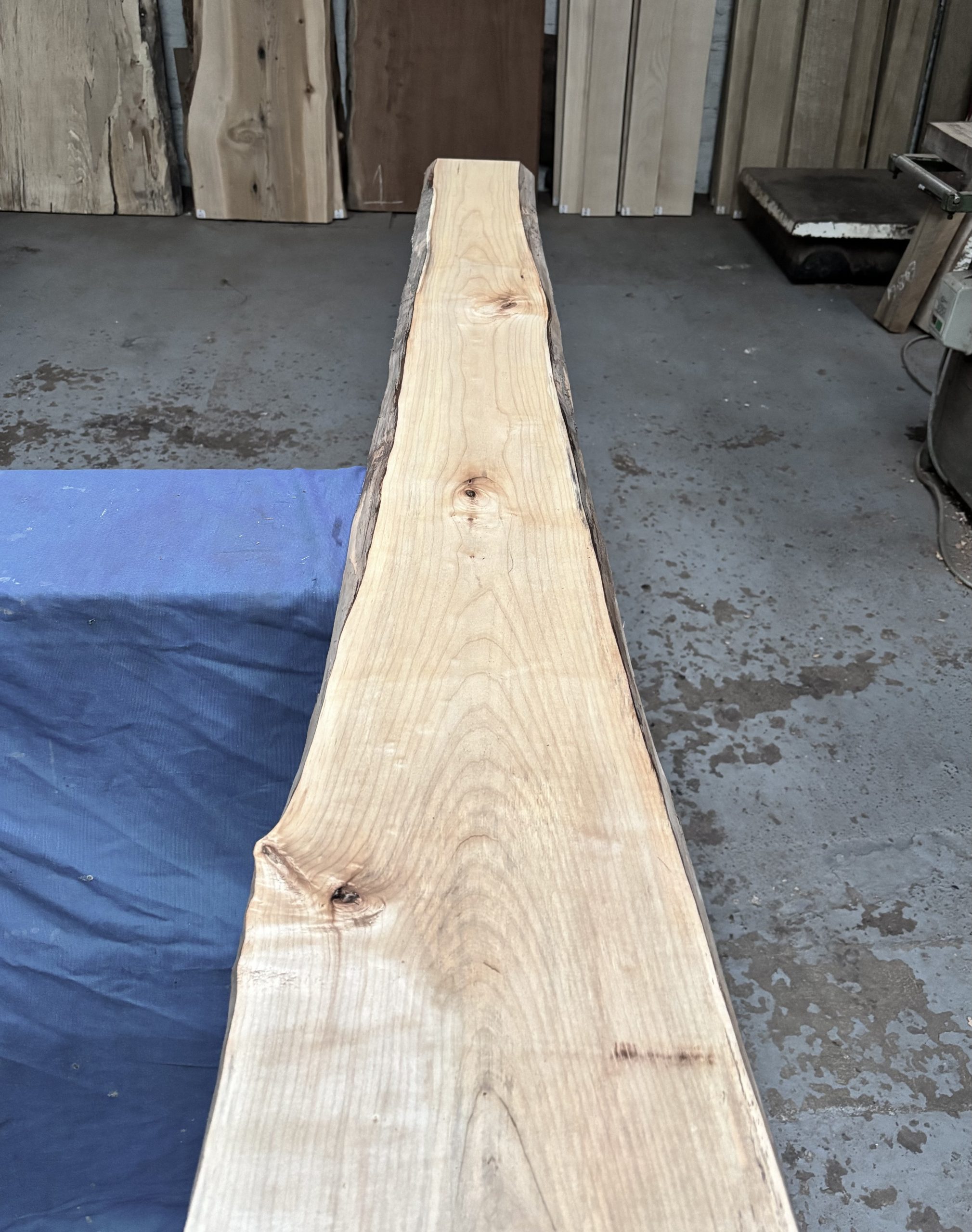 Spalted Maple 1950x170-280x25 mm