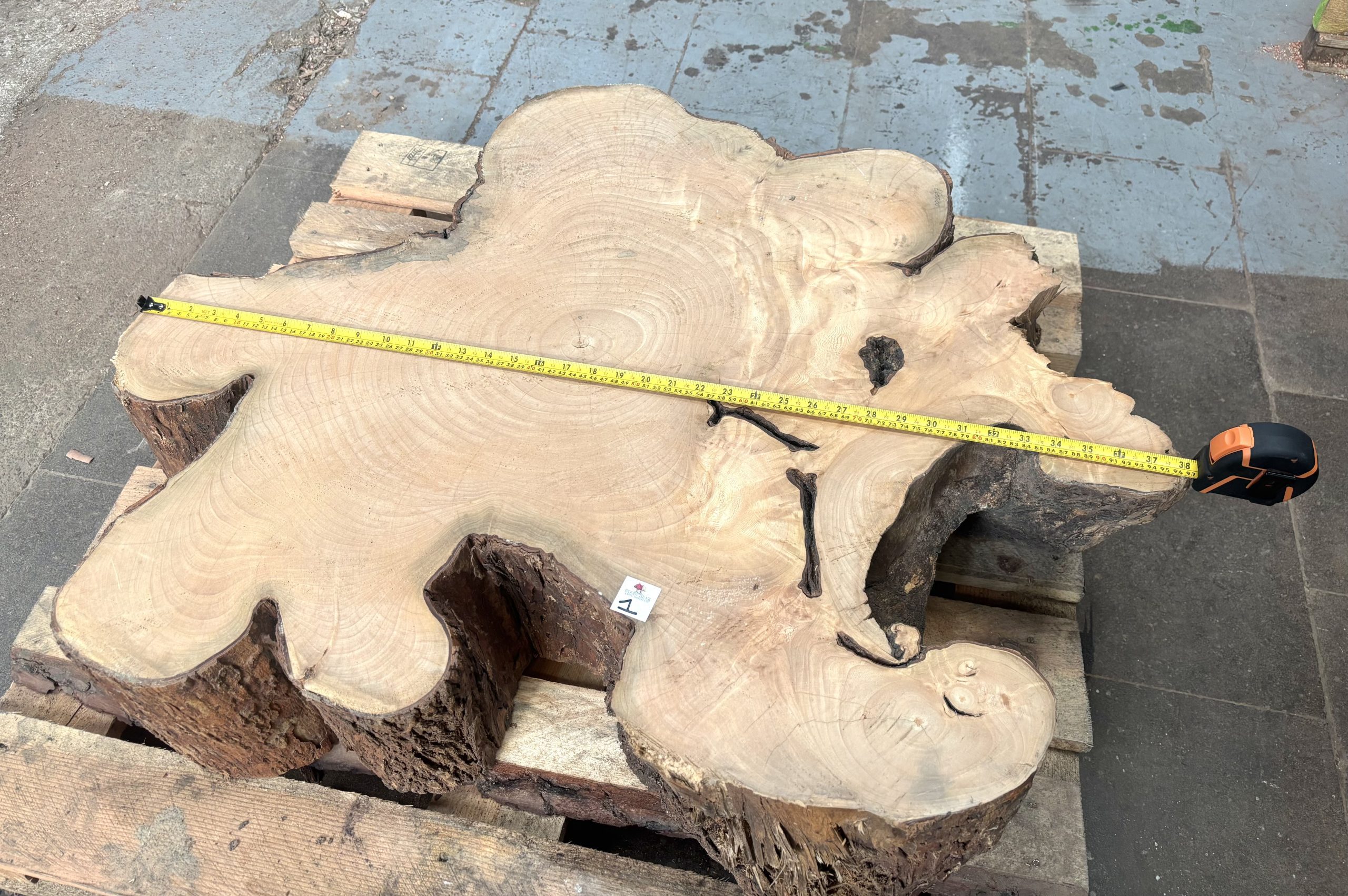 South African Sycamore Cookie 960x790x200 mm