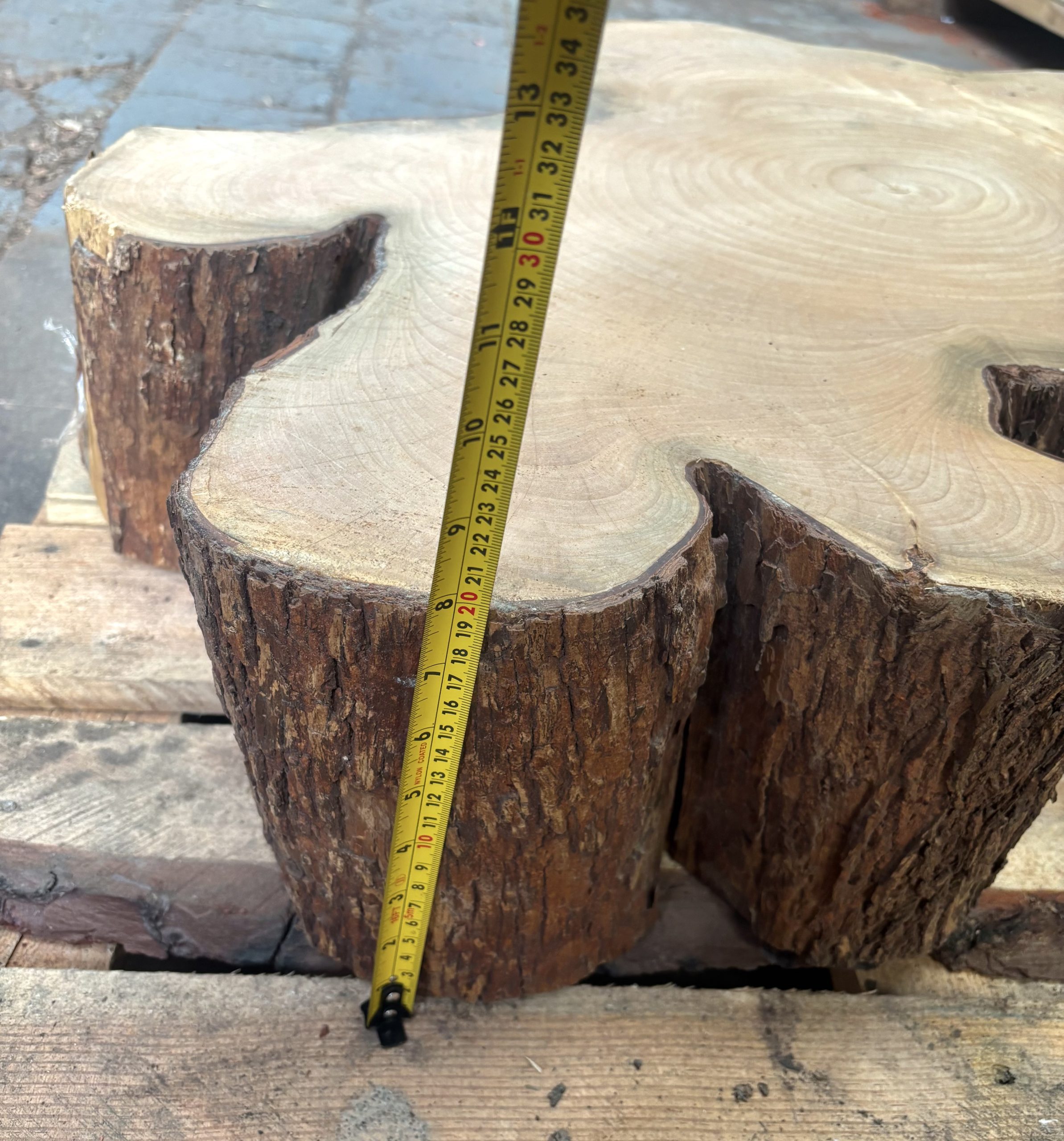 South African Sycamore Cookie 960x790x200 mm